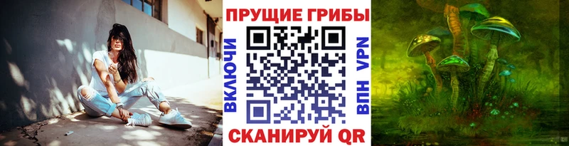 что такое   Челябинск  Галлюциногенные грибы мицелий 